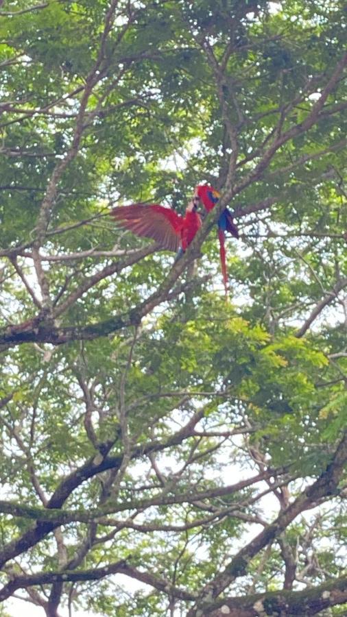 Las Plumas De Cabuya Cabuya  외부 사진